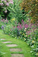 Stepping stones in grass path with mixed spring border, lunaria - honesty.