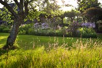 Long grass in the foreground with wild orchids backed by the herbaceous border and pergola