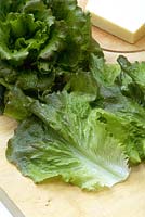 Lettuce 'Westminster' leaves on chopping board