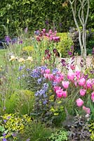 New pink Tulipa 'Caresse' with Polemonium, Verbascum and Geranium - Constraining Nature - Gold and Best Festival Garden, RHS Malvern Spring Festival 2015