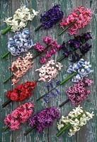 Hyacinthus varieties on wooden background including 'Ben Nevis', 'King of the Blues', 'Blushing Dolly', 'Blue Ice', 'Paul Herman', 'Blue Magic', 'Orange Queen' and 'Apple Blossom'