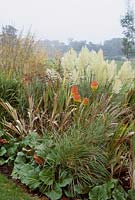 Grass border with crocosmia seedheads, Kniphofia rooperi - red hot poker, Miscanthus sinensis 'Yakushima Dwarf', bergenias and Cortederia - Pampas 