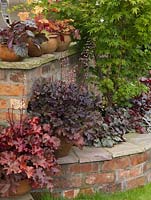 In lower pots and bed by acer, left to right - Heuchera Mahogany, Dark Secret, Cherries Jubilee. On top of wall - Guardian Angel, Marmalade and Heucherella Sweet Tea.