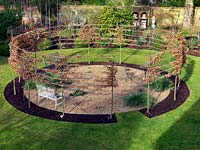 A round gravel garden cut out of a sunny lawn, encircled by a pleached hornbeam hedge. Winter.
