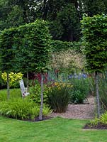 A pleached hornbeam hedge encircles a gravel garden. Planting includes grasses, crocosmia, agapanthus, persicaria, agastache, veronicastrum, verbena, glaucium, foxglove and gaura. Summer.