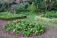 Curved borders and paths in Palheiro's Garden, or Blandy's Garden, Funchal, Madeira, bergenia crassifolia