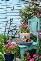 Early summer garden scene with flowering pelargoniums, Clematis montana, red valerian and wooden trug with gardening items.