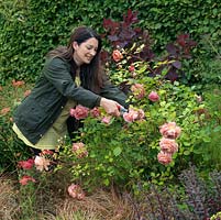 Rachel de Thame dead heads roses on the long herbaceous border in her country garden.