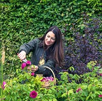 Rachel de Thame dead heads Rosa 'De Rescht' on the long herbaceous border in her country garden.