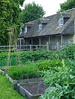 Raised vegetable beds in a productive country cottage garden.