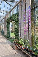 Entrance to the outside Teagarden. Shelves with images showing all kind of Papavers on the wall. Several varieties of Helleborus on shelves.