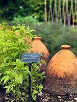 The two-acre, organic, walled kitchen garden at Le Manoir aux Quat'Saisons, conceived by celebrity chef, Raymond Blanc.