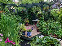 A secluded and colourful seating area with deck overhanging the pond. Above, a pergola supporting purple flowered solanum, vines and fig tree. 