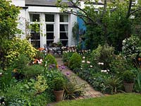 18m x 7m walled garden. Back patio with apple tree, beds and pots of Tulipa - 'Blue Diamond', 'Angelique', 'Florosa', 'Spring Green', 'Ballerina', 'Marilyn', 'Malaika', 'Curly Sue', 'Elegant Lady', 'Pink Diamond'.