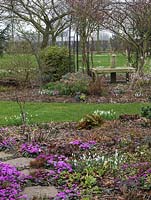 A National Collection of 600 different snowdrops kept in dedicated raised beds and borders, in clumps amongst Cyclamen coum, aconites, hellebores and shrubs.