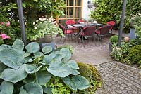 Relaxing area on a patio. Summer borders of Hosta, Rose, Heuchera, Viburnum, box and yew  topiary, Hedera.