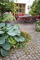 Relaxing area on a patio. Summer borders of Hosta, Rose, Heuchera, Viburnum, box topiary, Hedera.