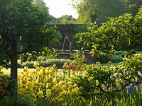 View over old bearded iris and espaliered fruit trees to formal pool with fountain, edged in Alchemilla mollis fresh with early morning dew.