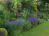 Herbaceous border with mixed planting in summer 