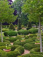 6-year-old parterre of low, rounded box hedges, set against gravel. Standard hollies and pots of white geraniums. Beyond, huge yew topiary pieces created over 20 years.