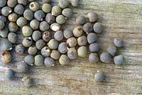 Okra 'Clemsons spineless'. Seeds on wooden board
