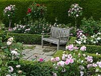 Sunken Rose Garden. Standards: Sceptered Isle, L. D. Braithwaite, Mary Rose. Beds:  The Countryman, Anne Boleyn, Rosemoor, Miss Alice, Noble Anthony, Cottage Rose.