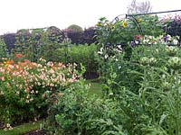 Potager. Tunnels clad in sweet peas or runner beans. Cutting bed of alstroemeria. Cardoons, broad beans and cardoons in flanking beds. Purple beech hedge behind.