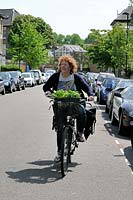 Lady cyclist with tray of plants in front basket cycling along the road, London