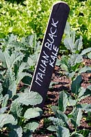 Italian Black Kale written in white on black wooden plant marker or label