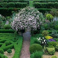 Arbour draped Rosa Pauls Himalayan Musk straddles brick path dividing Knot garden from Gravel area, Silver Pear garden from Gertrude Jekyll garden