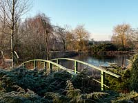 An early morning view of the ornamental lake and Monet inspired bridges at Wilkins Pleck.
