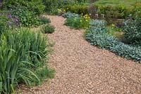 Wide pathway through gravel garden, with Sisyrinchium, Stachys byzantina 'Silver Carpet' and Buddleja 'Lochinch'