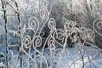 Ornate metal fence covered in hoarfrost