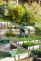 A woman tends the terraced flower and vegetable gardens in the historic old city of Berne, Switzerland