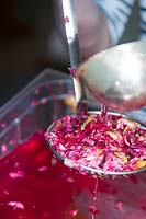 A mix of rose petals for producing syrup.