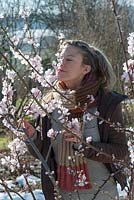 Woman smelling flowers of almond - Prunus dulcis
