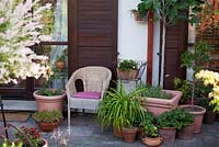 Armchair on patio with container plantings.