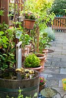 Paved courtyard with pots and wooden barrel used as a water feature.