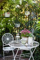 Secluided relaxing area with metal furniture and arrangements. Summer display with Nemesia 'White Bordeaux' planted in ornamental pot on the table.
