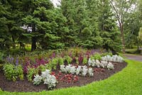 Border planted with silver Senecio cineraria, red Amaranthus, purple Salvia, Centre de la Nature public garden, Saint-Vincent-de-Paul, Laval, Quebec, Canada