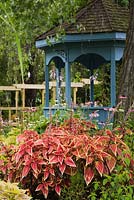 Red Solenostemon - Coleus plants, Echinacea purpurea - Coneflowers in border and blue painted wooden gazebo in the background in summer, Centre de la Nature public garden, Saint-Vincent-de-Paul, Laval, Quebec, Canada