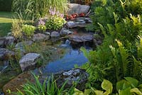 Pond and cascading waterfall with Canna, red Begonias, Miscanthus sinensis, Pteridophyta and Hosta plants in front yard garden in summer
