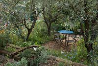 A Perfumer's Garden in Grasse. Seating area hidden beneath Olea Europea. 