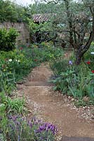 A Perfumer's Garden in Grasse, pathway and natural planting.  