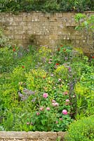 A Perfumer's Garden in Grasse. Naturalistic style planting - Rosa centifolia, Borago officinalis, Papaver rhoeas. 