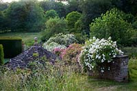 Moorwood garden - Rosa 'Aglaia', Rosa 'Rambling Rector', Rosa 'Paul Transon' and Rose 'Lykkefund' 