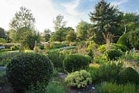 View across Herb Garden in summer with clipped topiary balls