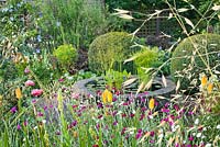 Pond area with clipped box balls and a view through plantings of ornamental grasses, Kniphofia 'Bee's Sunset', Lychnis coronaria, Papaver somniferum. In the pond: Equisetum hyemale, Cyperus involutcratus and Alisma plantago