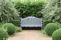 Bench painted blue in front of Carpinus hedge, flanked by Pyrus salicifolia 'Pendula' - pendulous willow-leaved pear, buxus - box balls and herringbone pattern brick path, Wyken Hall, Suffolk, July