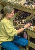 Woman choosing hyacinth bulbs at garden centre